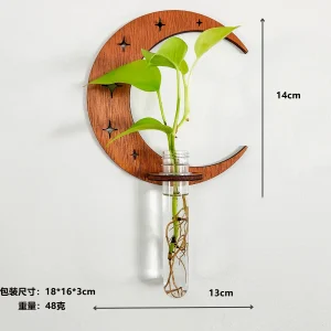 Moon propagation holder